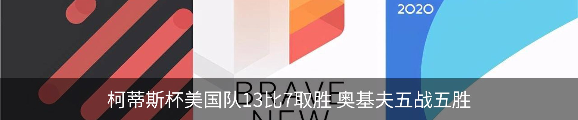 新闻动态